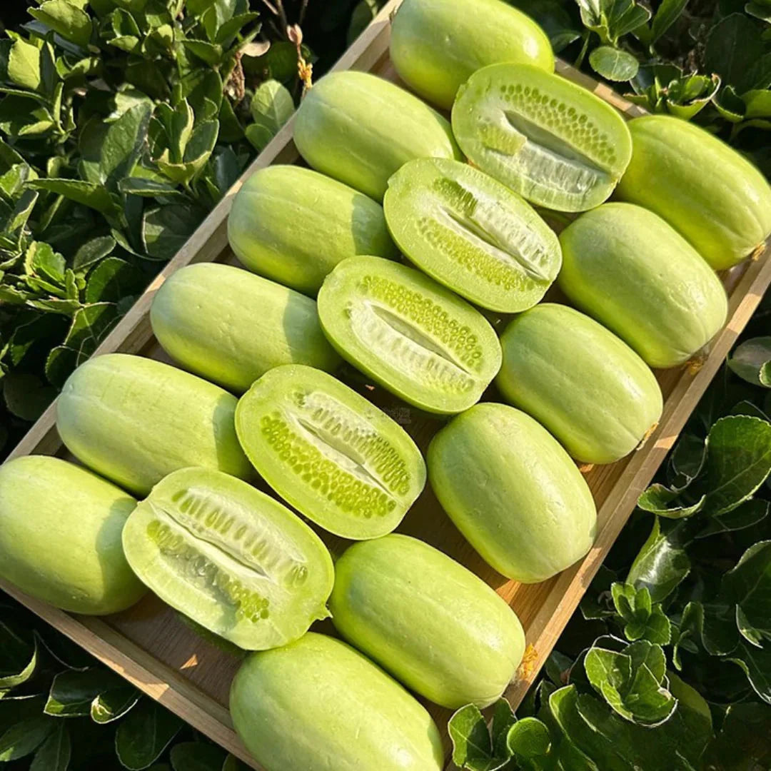 Cucumber-Golden Boy Lady Cucumber