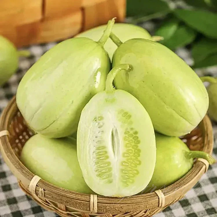 Cucumber-Golden Boy Lady Cucumber