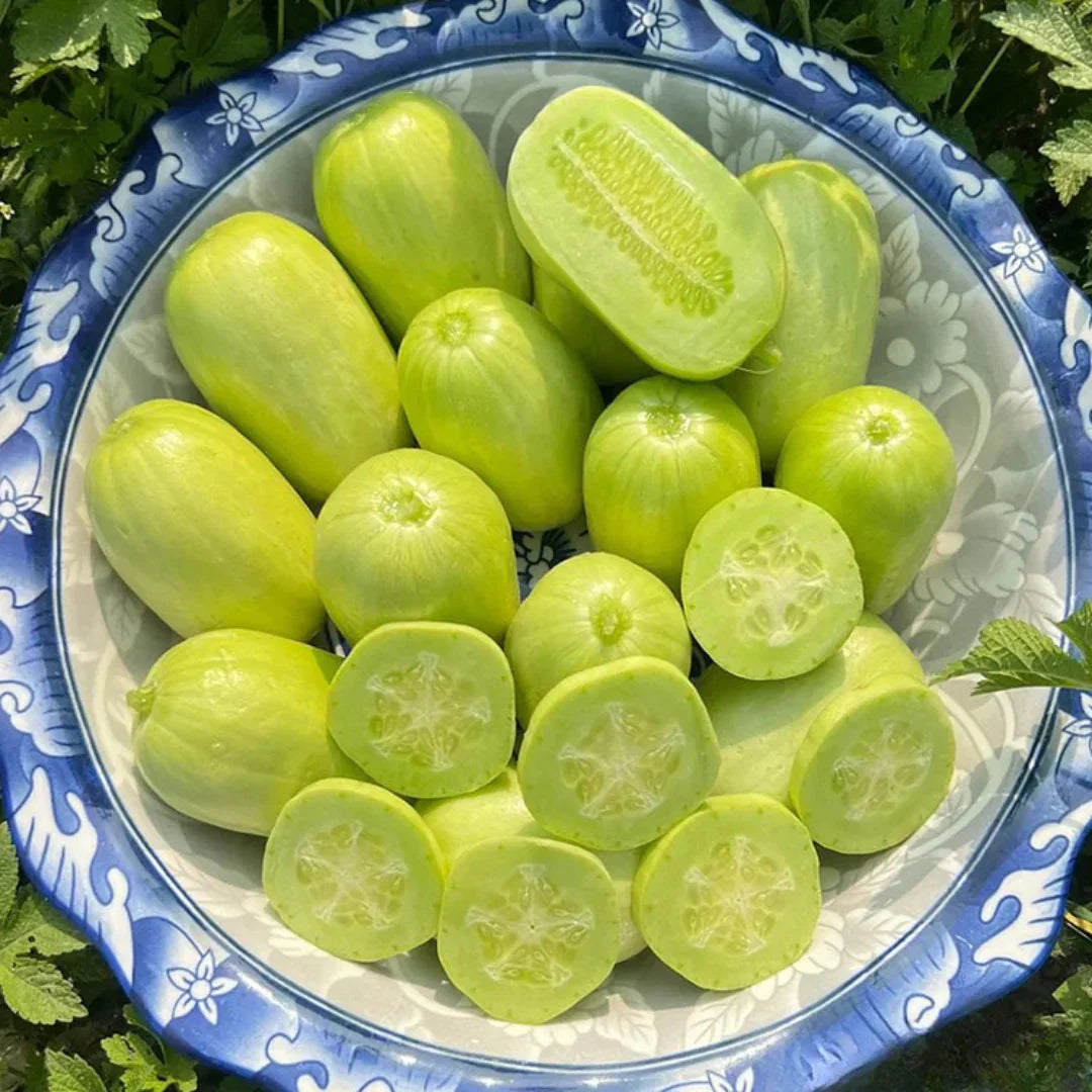 Cucumber-Golden Boy Lady Cucumber